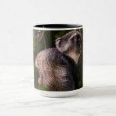 Blauwe aap, Zanzibar Mok (Midden)