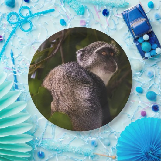 Blauwe aap, Zanzibar Papieren Bordje (Feest)