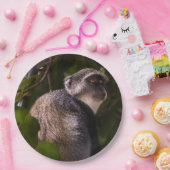 Blauwe aap, Zanzibar Papieren Bordje (Feest)