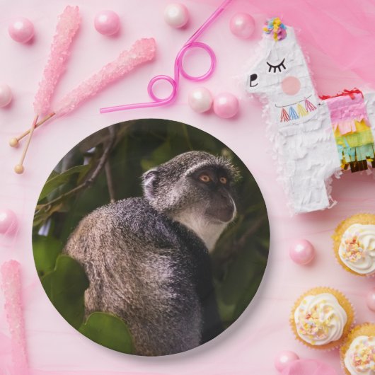 Blauwe aap, Zanzibar Papieren Bordje (Feest)