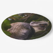 Blauwe aap, Zanzibar Papieren Bordje (Gekanteld)