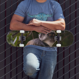 Blauwe aap, Zanzibar Persoonlijk Skateboard