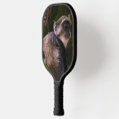 Blauwe aap, Zanzibar Pickleball Paddle (Links)