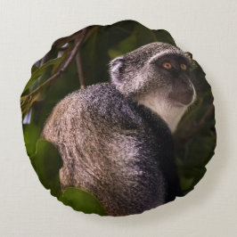 Blauwe aap, Zanzibar Rond Kussen