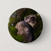 Blauwe aap, Zanzibar Ronde Button 5,7 Cm (Voorkant)