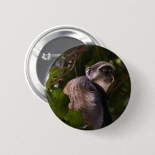 Blauwe aap, Zanzibar Ronde Button 5,7 Cm (Voorkant /achterkant)