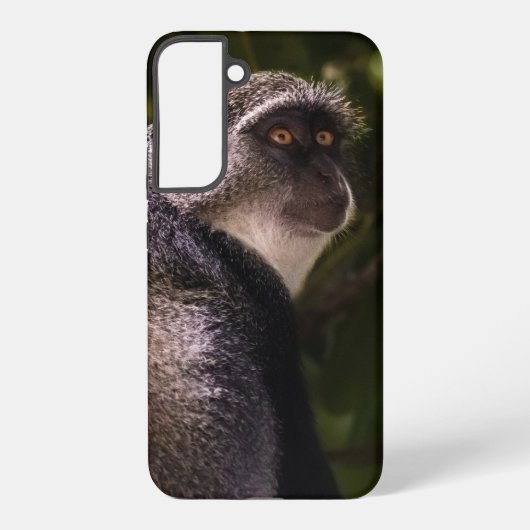 Blauwe aap, Zanzibar Samsung Galaxy Hoesje (Achterkant)