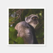 Blauwe aap, Zanzibar Servet (Voorkant)