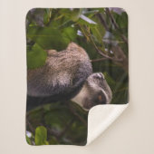 Blauwe aap, Zanzibar Sherpa Deken (Voorkant)