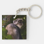 Blauwe aap, Zanzibar Sleutelhanger (Achterkant)