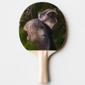 Blauwe aap, Zanzibar Tafeltennisbatje (Achterkant)