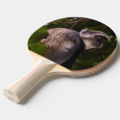 Blauwe aap, Zanzibar Tafeltennisbatje (Voorkant Gekanteld)