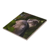 Blauwe aap, Zanzibar Tegeltje (Zijkant)