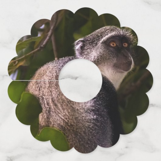 Blauwe aap, Zanzibar Wijnglaslabel (Achterkant)