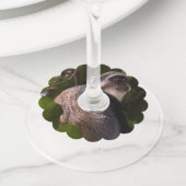 Blauwe aap, Zanzibar Wijnglaslabel (Dichtbij)