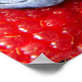 Blauwe aardbeien en frambozen poster (Hoek)