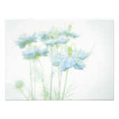 Blauwe aas groot foto afdruk (Voorkant)