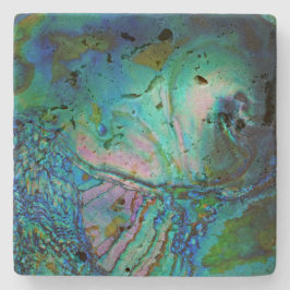 Blauwe Abalone Schelp Stenen Onderzetter