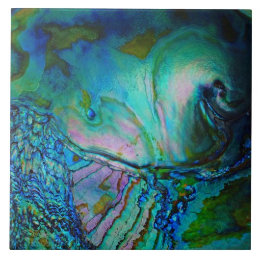 Blauwe Abalone Schelp Tegeltje (Voorkant)