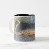 Blauwe Abyssiniaanse mannetje uitgestort Tweekleurige Koffiemok (Voorkant links)