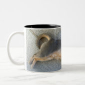 Blauwe Abyssiniaanse mannetje uitgestort Tweekleurige Koffiemok (Links)