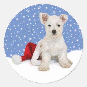 Blauwe achtergrond laat het Stickers sneeuwen