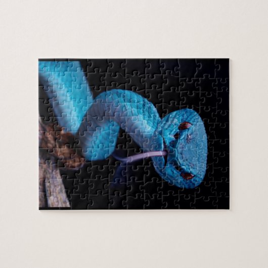 Blauwe adder slang 110 stuk Puzzel Legpuzzel (Horizontaal)