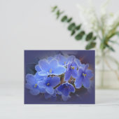Blauwe Afrikaanse Violet Briefkaart (Staand voorkant)