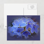 Blauwe Afrikaanse Violet Briefkaart (Voorkant / Achterkant)