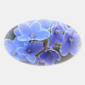Blauwe Afrikaanse Violet Ovale Sticker (Voorkant)