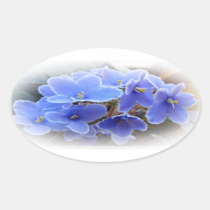 Blauwe Afrikaanse Violet Ovale Sticker
