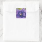 Blauwe Afrikaanse Violet Saintpaulia Vierkante Sticker (Tas)
