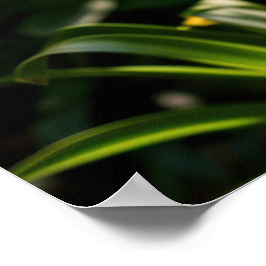 Blauwe Agapanthus bloemen Poster (Hoek)