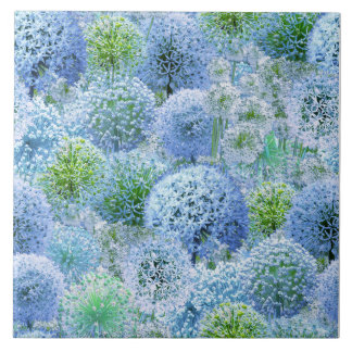Blauwe Alliums Tegeltje