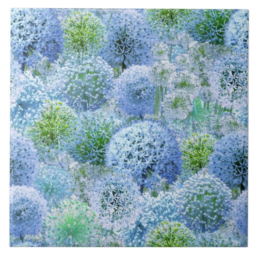 Blauwe Alliums Tegeltje (Voorkant)
