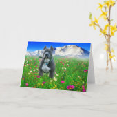 Blauwe Amerikaanse Kuil Bull terrier, de Piek van Kaart (Gele Bloem)