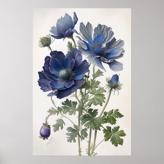 Blauwe Anemoon Bloemen Kunstprint Poster (Voorkant)