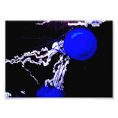 Blauwe Angels Foto Afdruk (Voorkant)