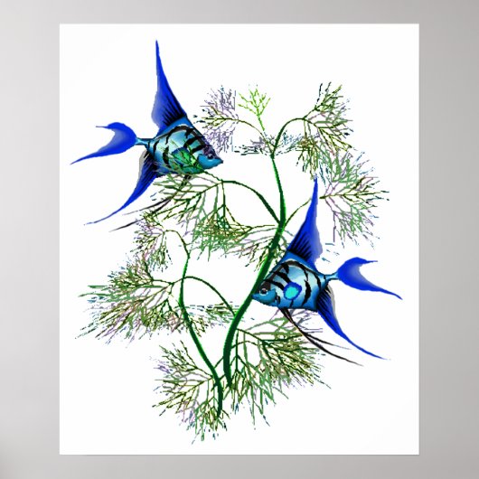 Blauwe Angelvis in Planten Poster (Voorkant)