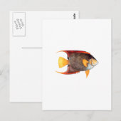 Blauwe Angelvis (zout water) Briefkaart (Voorkant / Achterkant)