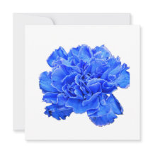 Blauwe Anjer Sereniteit – Levendige Bloemige Notit