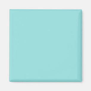 Blauwe Aqua gewone kleur Magneet