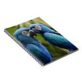 Blauwe Ara Notitieboek (Rechterzijde)