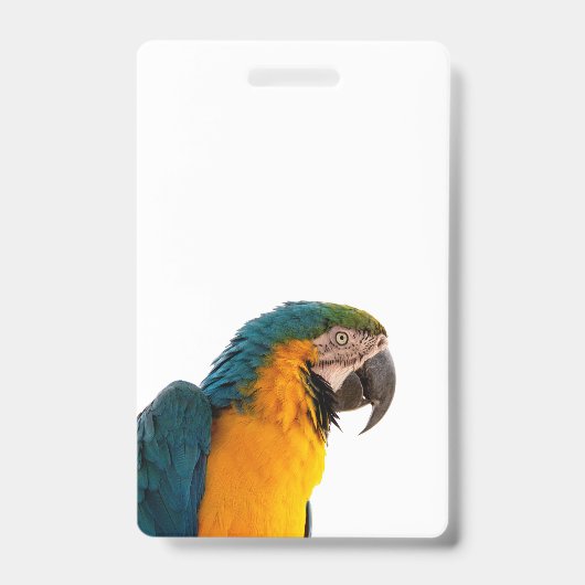 Blauwe ara papegaai  badge (Voorzijde)