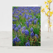 Blauwe Armeense Hyacint Notecard Kaart (Gele Bloem)