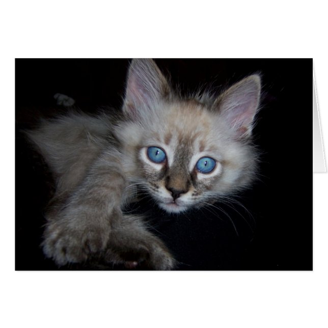 Blauwe baby (Voorkant Horizontaal)