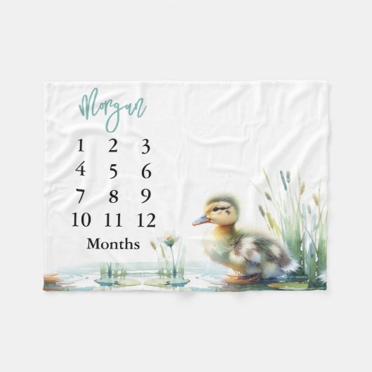 Blauwe Baby Jongen Milestone Deken Eenden (Voorkant (Horizontaal))