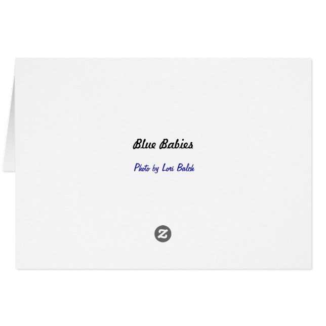 Blauwe baby's (Achterkant Horizontaal)