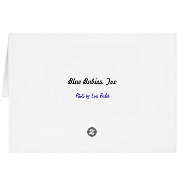 Blauwe baby's, ook (Achterkant Horizontaal)