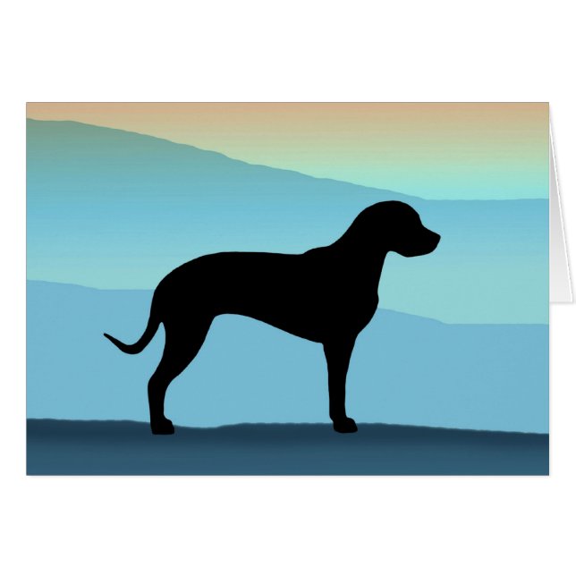 Blauwe bergen Catahoula (Voorkant Horizontaal)